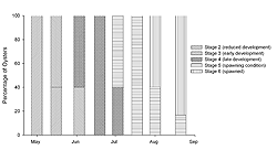 Figure 2. Gonadal stages of <i>Crassostrea virginica</i> transplanted to Floyd Bennett Field in Jamaica Bay (New York) in 2003. 